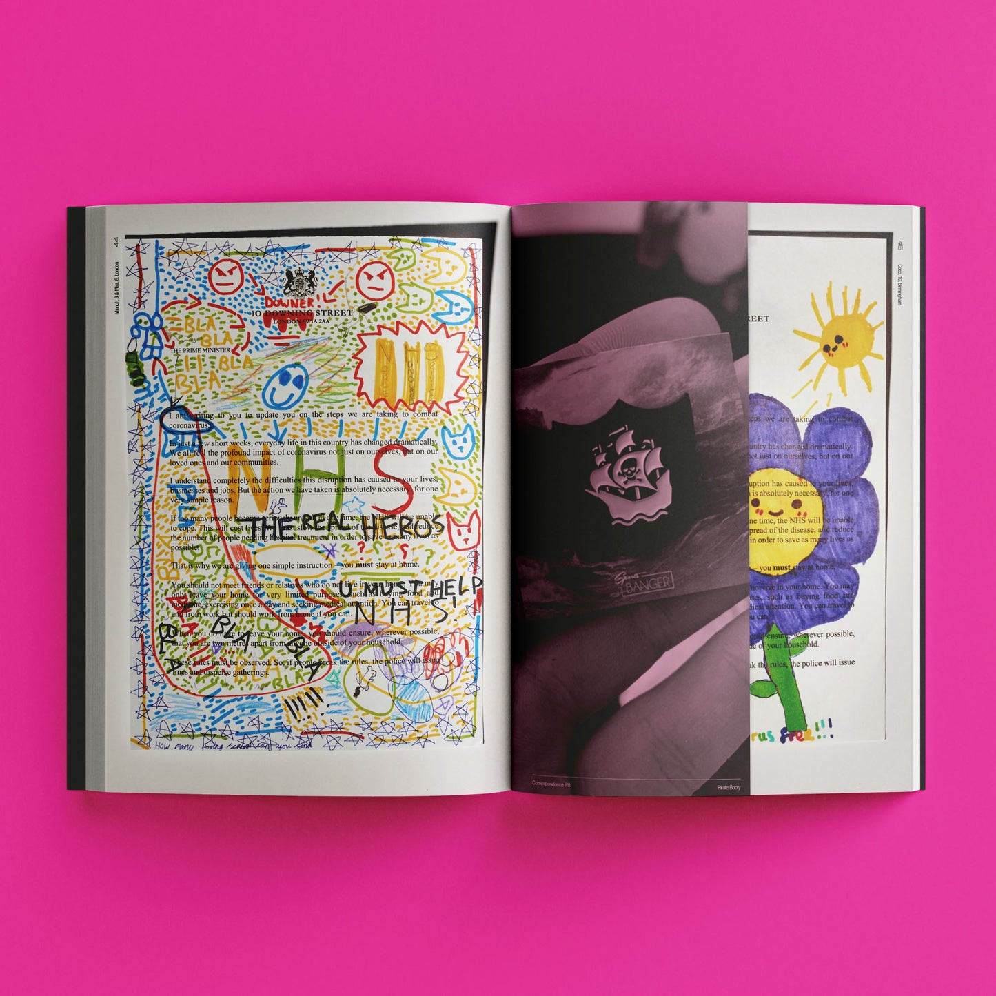 THE COVID LETTERS: A VITAL UPDATE book