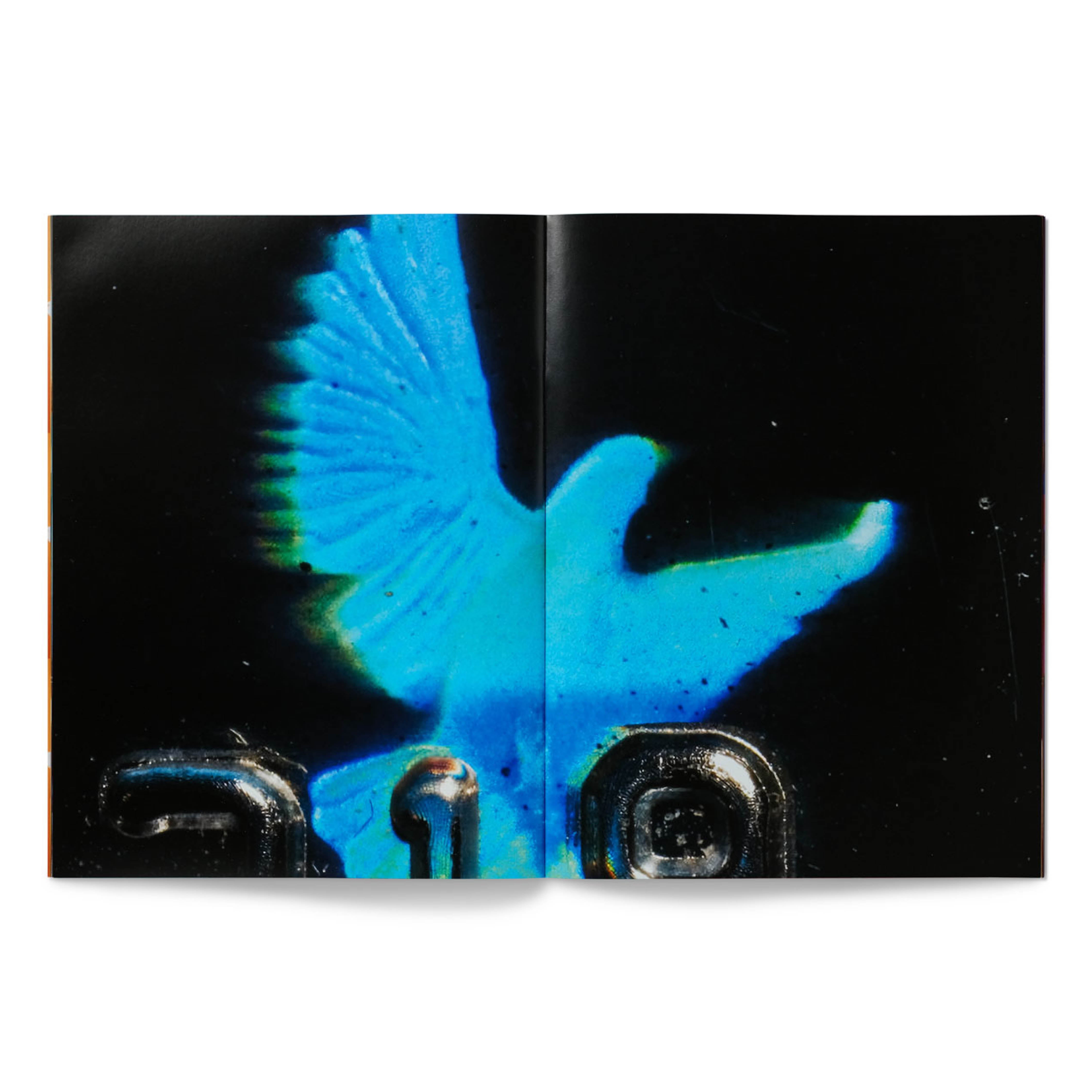 THE PEOPLE DESERVE BEAUTY BOOK