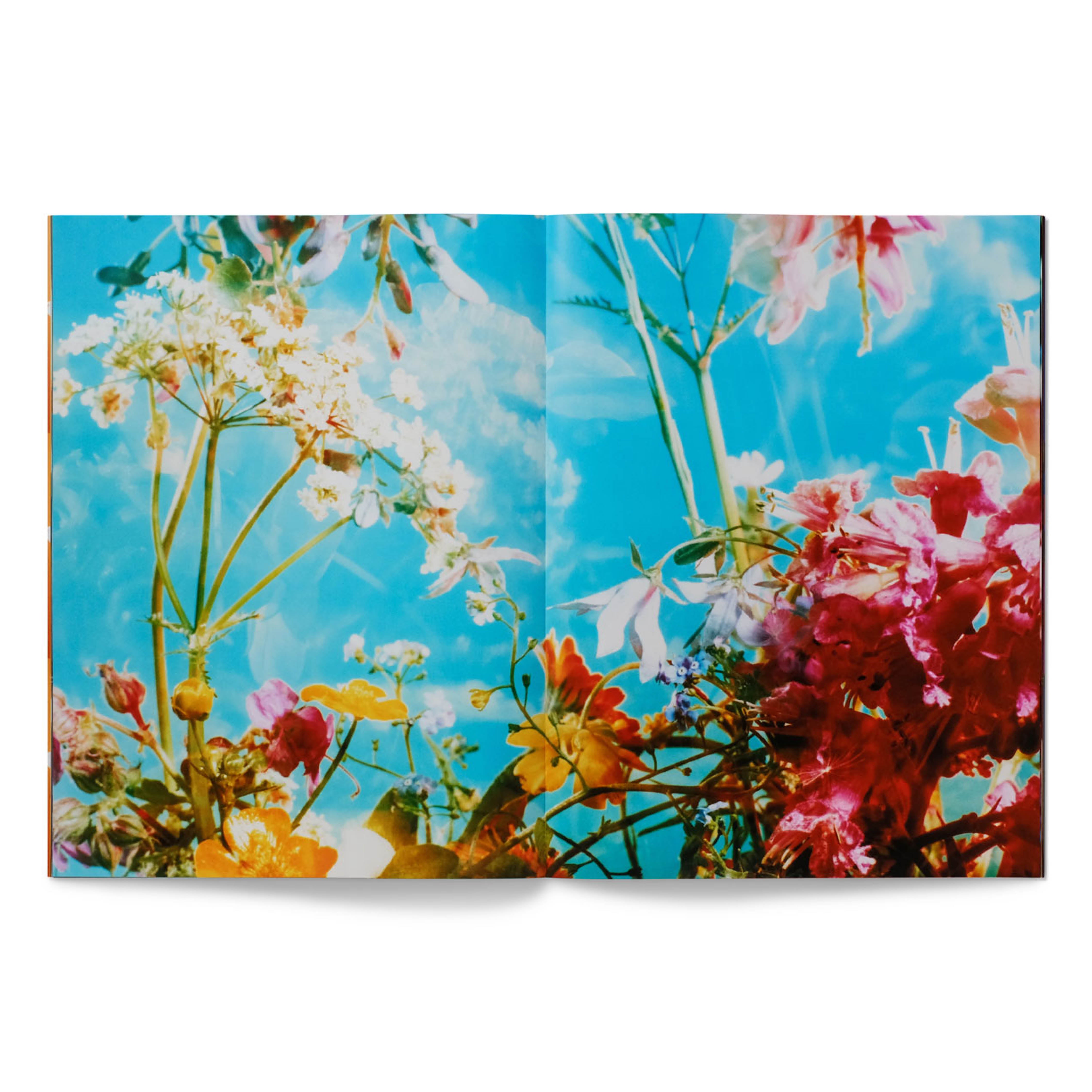 THE PEOPLE DESERVE BEAUTY BOOK